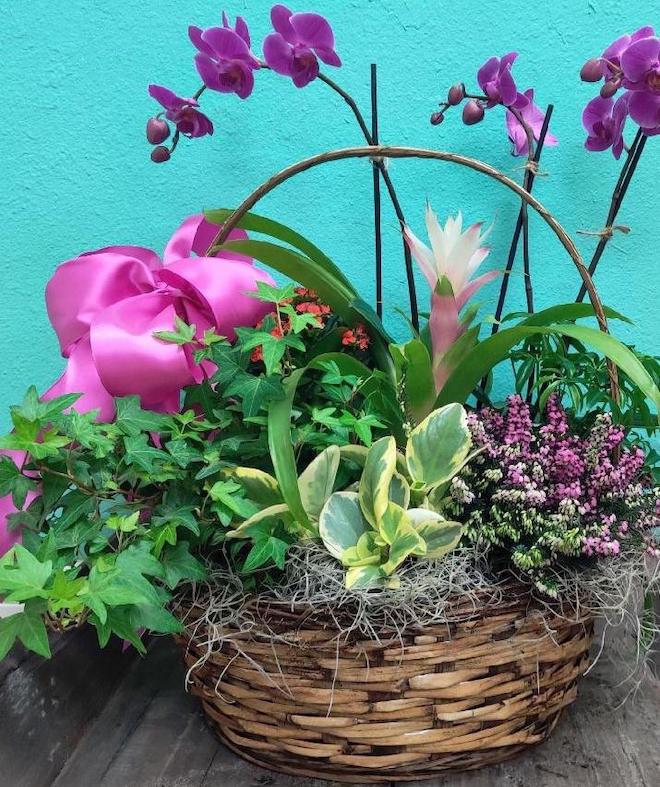 Flowers